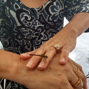 Meet your Posher, Dolores